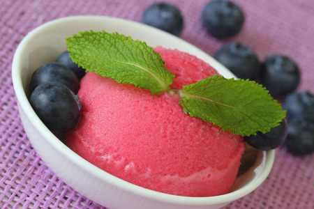 Forest fruit sorbet with fresh blueberries, close upの写真素材