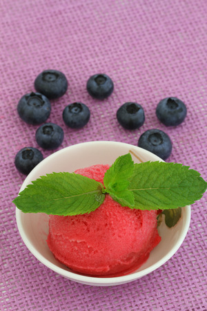 Forest fruit sorbet garnished with mint leafの写真素材