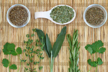 Selection of herbs and spices on porcelain spoons on bamboo matの写真素材