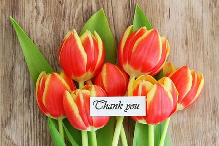 Thank you card with red and yellow tulipsの写真素材