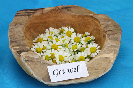 Get well card on teak root bowl with fresh chamomile flowersの写真素材