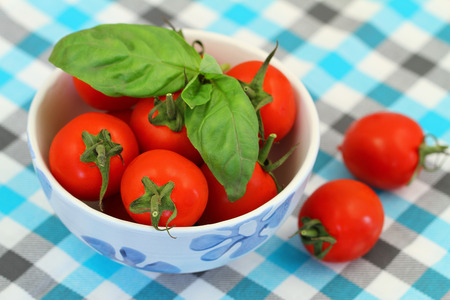 Cherry tomatoes with fresh basil on checkered surfaceの写真素材