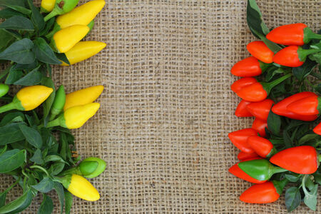 Hot red and yellow chili peppers on jute surface with copy spaceの写真素材