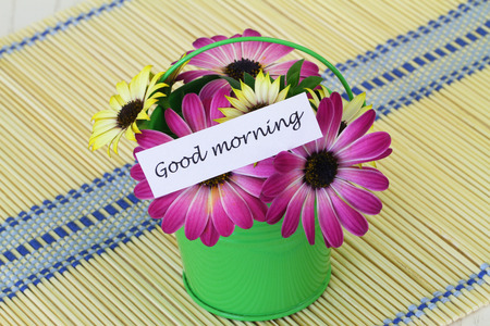 Good morning card with colorful daisiesの写真素材