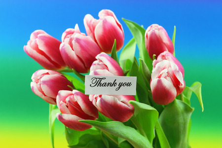 Thank you card with pink tulips on colorful background