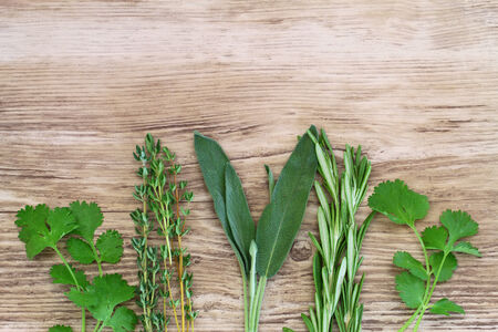 Fresh herbs on wooden surface with copy spaceの写真素材