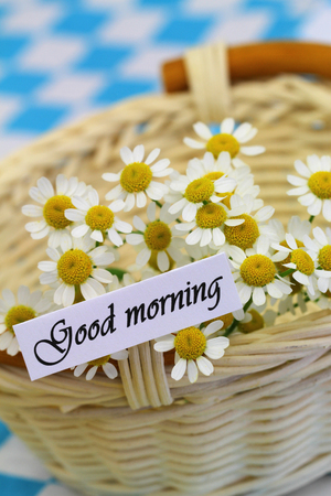 Good morning card with chamomile flowers in wicker basketの写真素材