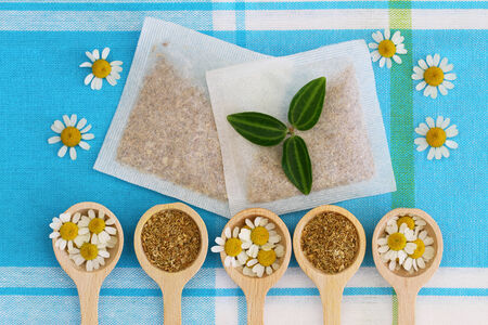Fresh and dried chamomile flowers and chamomile tea bagsの写真素材