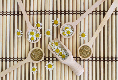 Fresh and dried chamomile flowers on wooden spoons on bamboo matの写真素材