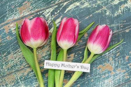 Happy Mother\\の写真素材