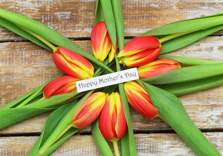 Happy Mother\\\\\\\\\\\\\\\\