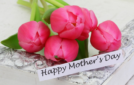 Happy Mother\\\\\\\\\\\\\\\\の写真素材