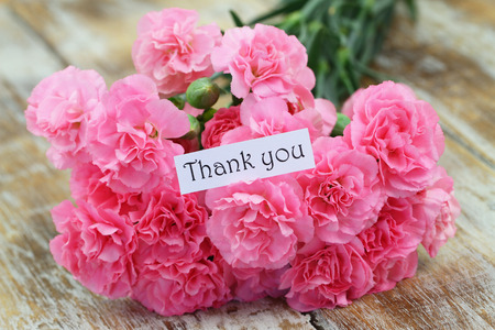 Thank you card with pink carnation flowersの写真素材