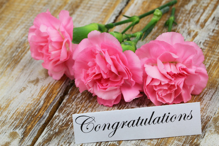 Congratulations card with three pink carnations on rustic woodの写真素材