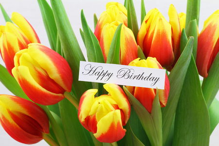 Happy Birthday card with colorful tulipsの写真素材