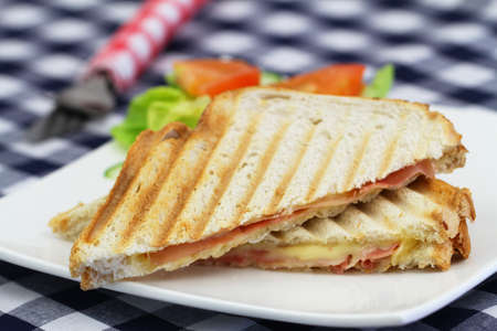 Toasted sandwich with ham an cheese and side salad on white plateの写真素材