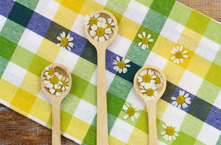 Fresh chamomile flowers on wooden spoons on checkered yellow clothの写真素材