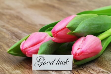 Good luck card with pink tulips on wooden surfaceの写真素材