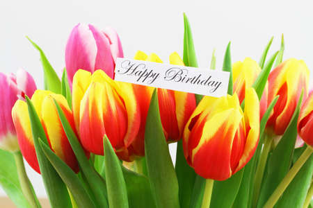 Happy Birthday card with background of colorful tulipsの写真素材