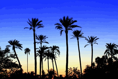 A garden of palm trees in Sevillaのイラスト素材