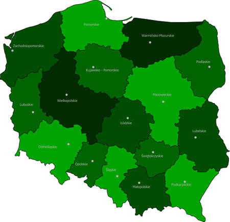 Vevtor Maps of Polandのイラスト素材