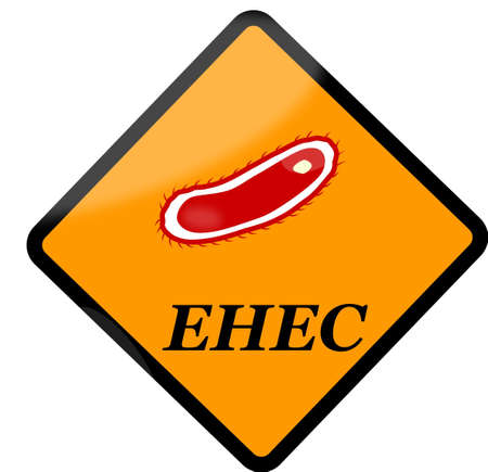 Escherichia coli - EHECのイラスト素材