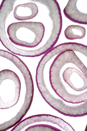 Onion Ring Abstractの写真素材