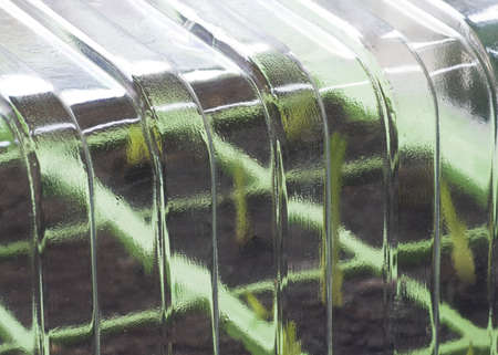 Plant Propagatorの写真素材