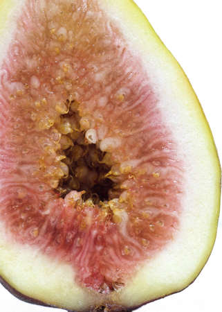 Fig Cut in Halfの写真素材