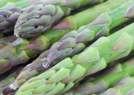 Asparagusの写真素材