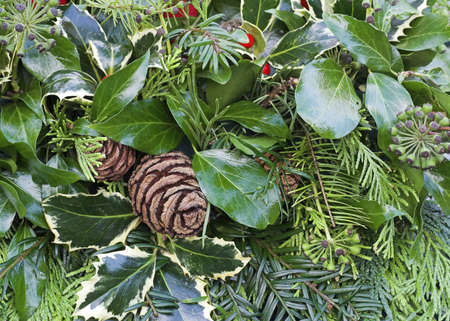 Christmas Wreath Detailの写真素材