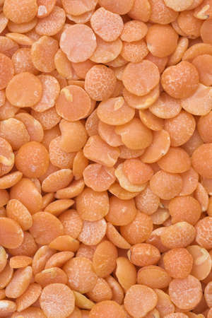 Lentilsの写真素材