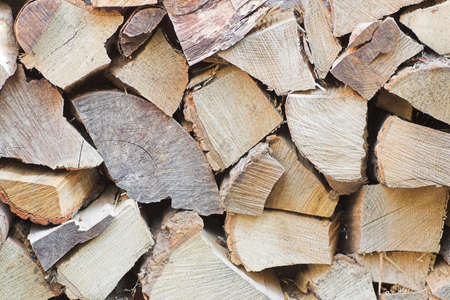 Wood Pileの写真素材