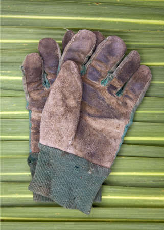 A pair of old gardening gloves on a background on Phormium leaves.の写真素材