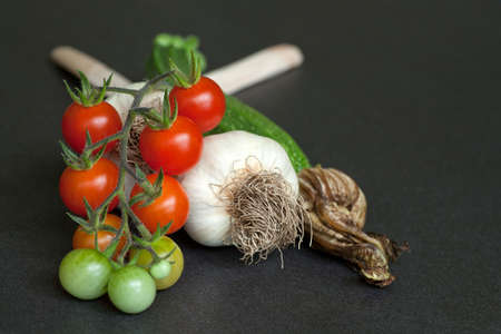 A selection of fresh organic vegetables including garlic, courgette and tomatoの写真素材
