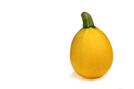 A yellow ball courgette variety on a white background with shadow,の写真素材
