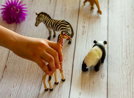 Close up image of a kid's hands as she plays with toy animal figures on a wooden bench. She places,...
