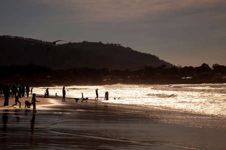California, USA, 01/29/2017: A low light view of the Carmel Beach on Carmel by the Sea. Image features silhouettes of people in the sea and on the beach doing various activities. Sun reflects in waterのeditorial素材