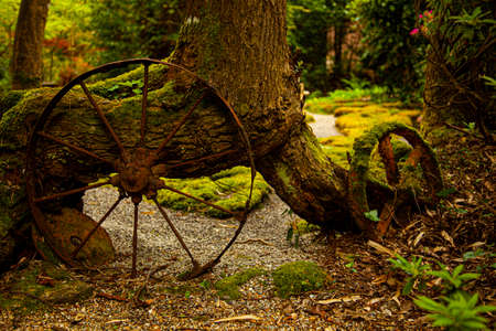 close up abstract image of ancient cartwheels abandoned in a forest by an old tree. These vintage metal wheels got mossy, rusty and corroded all over. There is a hiking path into the woods from here.の写真素材