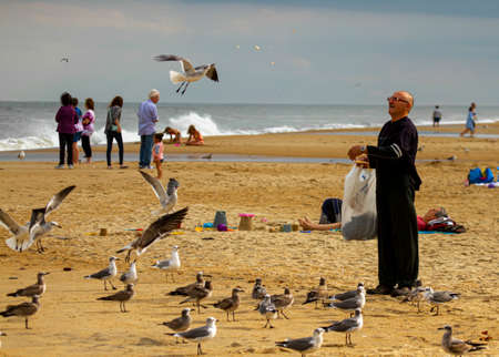Delaware, USA 10/04/2014: An old man in black clothes is throwing bread crumbles to seagulls on beach. Birds gathered around him  and a few are flying to catch the food in air before they land on sandのeditorial素材
