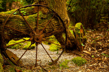 close up abstract image of ancient cartwheels abandoned in a forest by an old tree. These vintage metal wheels got mossy, rusty and corroded all over. There is a hiking path into the woods from here.の写真素材