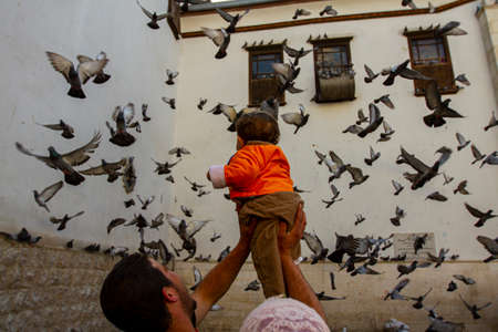 Damascus, Syria 03/28/2010: A flock of doves are taking off in Old Damascus. A Syrian man is holding his baby daughter in his hands and raising her up in the air so she can see flying birds better.のeditorial素材