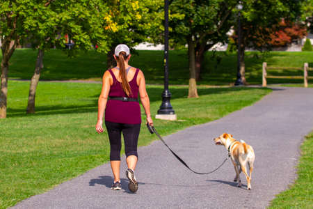 Isolated close up photo of a young blonde woman in sportswear as she is walking in the park with her dog. The light brown white dog is on leash. The woman has pony tail and a baseball hat.の写真素材