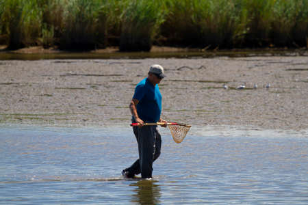 Eastern Neck, MD, USA 08/30/2020: An elderly caucasian man wearing baseball hat is walking in shallow water in an estuary by the Chesapeake bay and trying to catch crab using 5 foot crab net.のeditorial素材