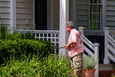 Chestertown ,MD, USA 08 30/2020: An elderly man wearing a pink t shirt and canvas pants is trimming the bushes on his house's front yard using pruning shears on a sunny day.のeditorial素材