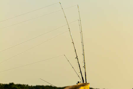 Multiple fishing rods are placed on the wooden railings of a bridge at sunset. They are all set up...