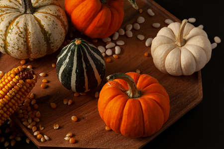 pumpkins, squashes and gourds ,  dried a corn cob with kernels and dried beans were randomly spread...