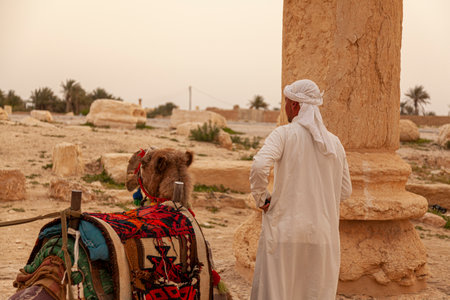 Palmyra, Syria 04-02-2010: A local Arabic tour guide is standing by his dromedary camel by the ancient ruins of Palmyra in Syrian desert. He wears white ethnic clothes and camel has decorative saddle.のeditorial素材