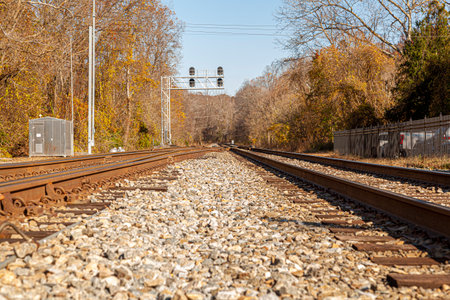 Low angle nostalgic image of two railroad tracks going into the woods. The rusted tracks converge at...