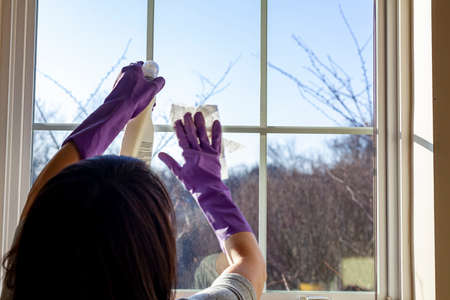 A woman wearing purple cleaning gloves is holding a window cleaner spray bottle in one hand and a piece of cloth or disposable wipe on the other. She is wiping the glass window from inside.の写真素材